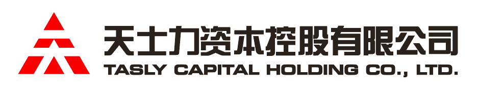 NLC电子资本控股有限公司